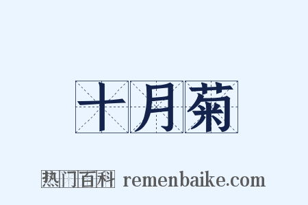 十月菊是什么意思的图片